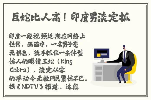 羞羞网站入口